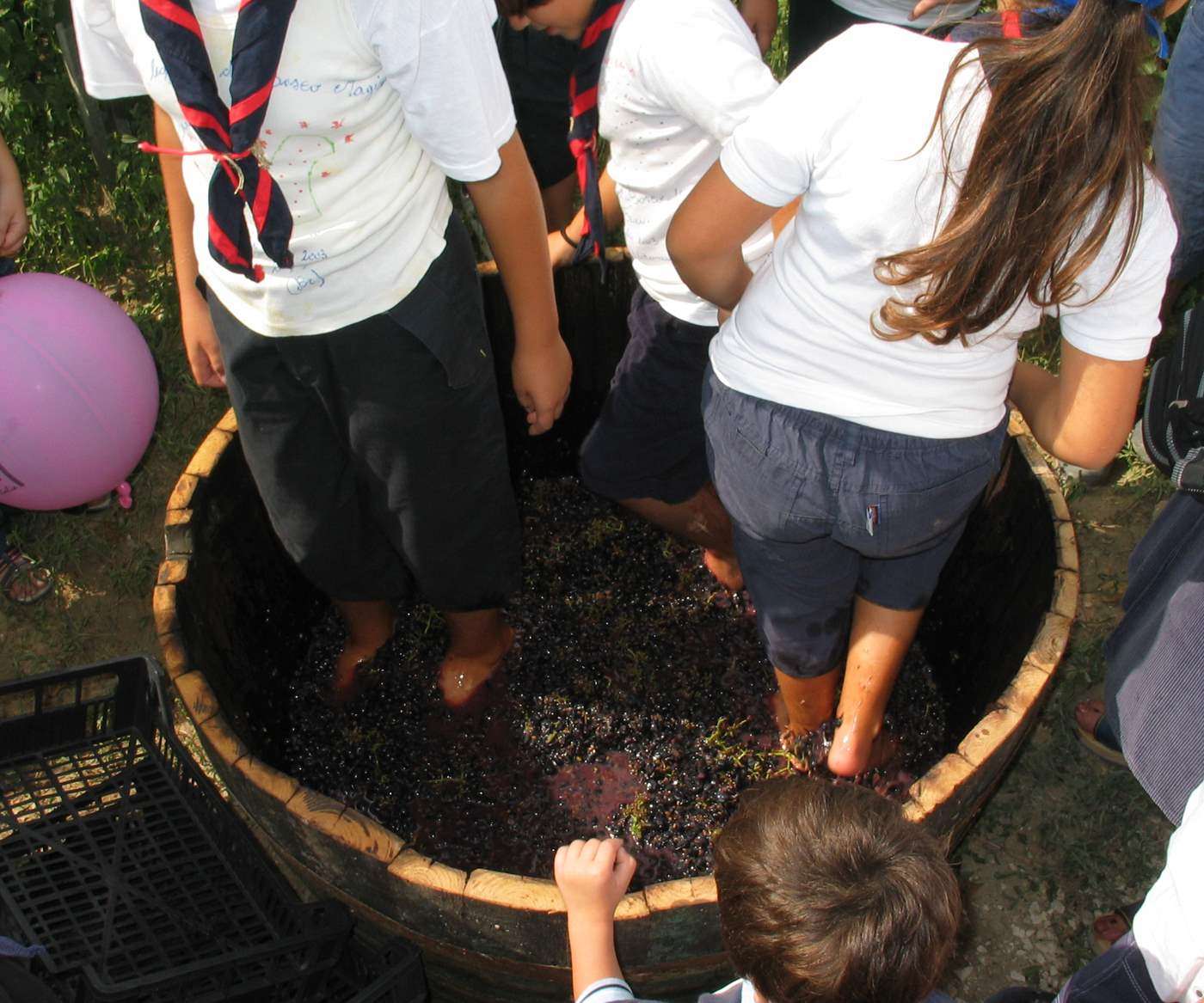 vendemmia enoturistica feudi di guagnano