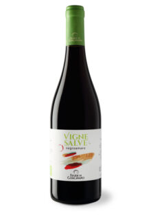 020-vignesalve-negroamaro-feudi-di-guagnano