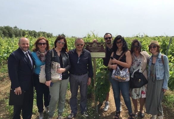 gruppo-mini-tour-terre-del-negroamaro-feudi-guagnano gruppo-mini-tour-terre-del-negroamaro-feudi-guagnano